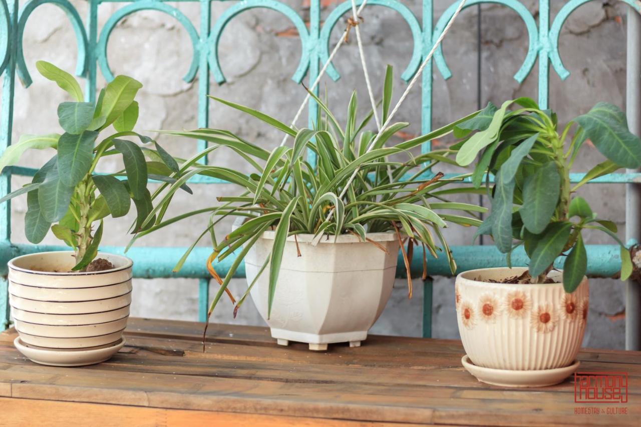 Harmony Homestay - Hanoi Homestay In Old Quarter 외부 사진